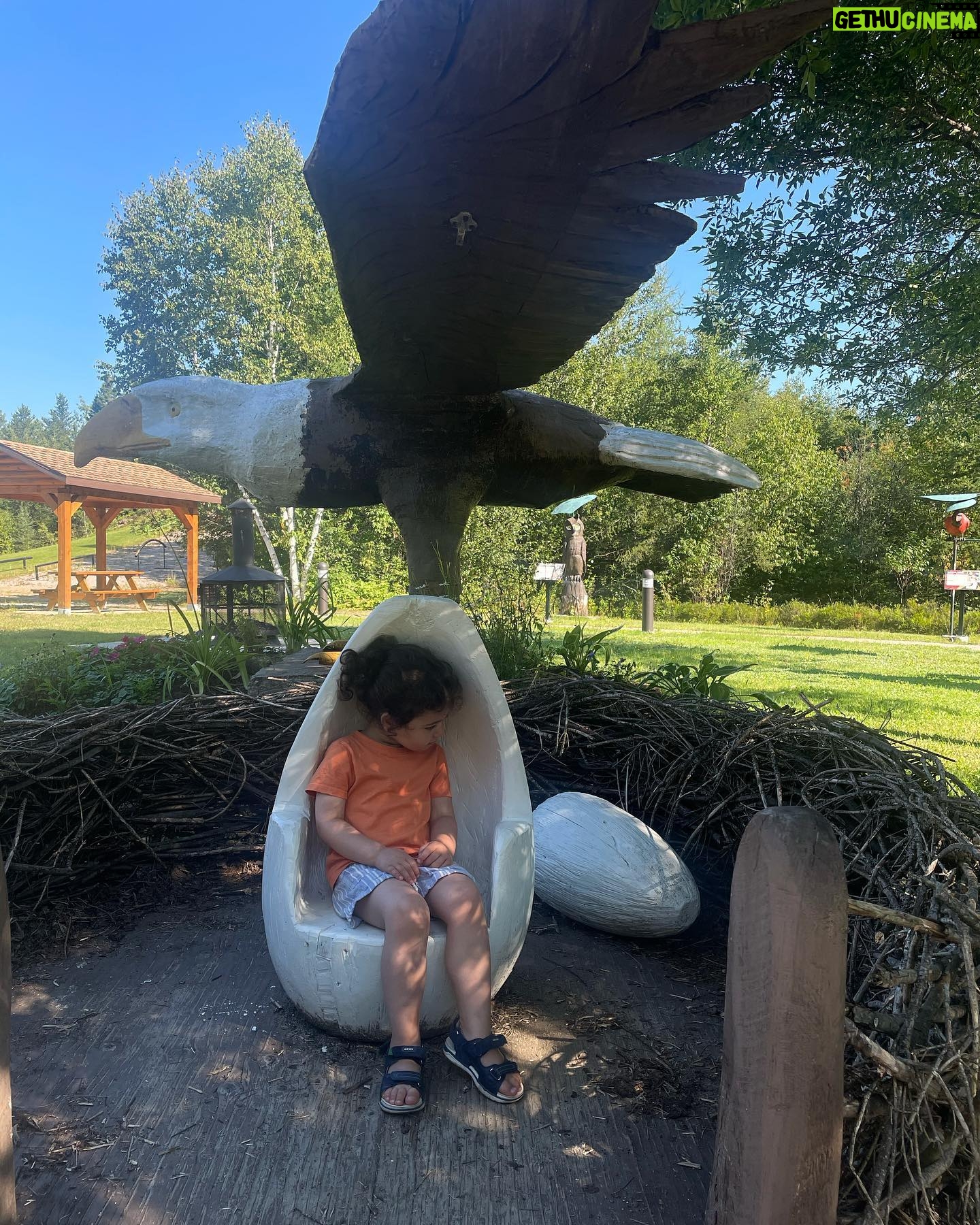 Maude Harcheb Instagram - Grandes piles/ La Tuque/ lac bouchette/ St Félicien - Jours 8 et 9 - Avoir la trentaine et faire des détours pour voir des ponts - une sublime sirène 🧜♀️ - rétro plage by Anthony - pourquoi mon bus scolaire à moi était moche ? - possible de construire une maison à gauche de la cascade entre deux arbres ? - visiter des logements de colons des années 1900 et me rappeler de plus jamais me plaindre d’un quelconque manque de confort - regarder de la bOoootey - vivre notre best motel life 🖤 - subtilement prévenir les proches qu’ils auront pas de souvenirs parce qu’on a pas de place mais on vous aime quand même - Indie réalise un RÊVE : être un petit poussin dans son nid 😆 Ça passe trop vite, on peut ralentir un peu ?! ⏳