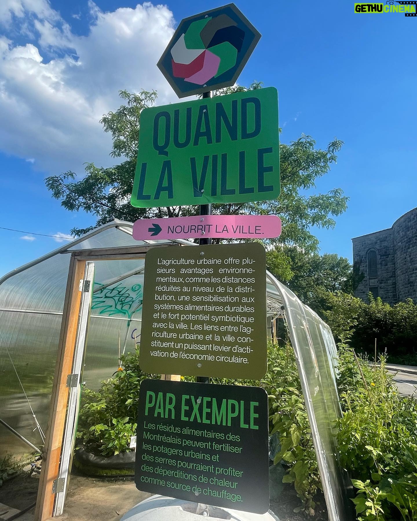 Maude Harcheb Instagram - Montréal - jour 4 - câlins - trouver tous les murs stylés de la ville et poser devant - spectacle de rue d’Indie, gratuit, 3 fois par jour - prendre « la douche » - l’agriculture urbaine, un concept formidable - cœur moelleux - vin blanc qui donne un peu mal à la tête Et on file. Au revoir Montréal, tu étais écoeurante de beauté 🖤