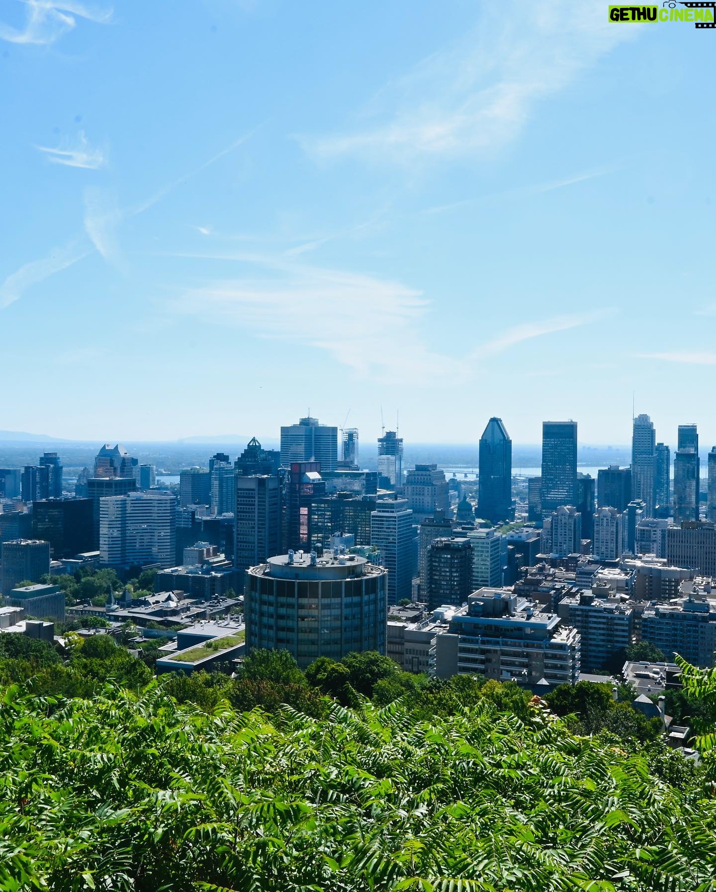 Maude Harcheb Instagram - Montréal - jour 3 - Mont royal - la vue est belle - je voulais une pédicure orange mais c’est rouge mamie - noisette / poire citron / vanille fraise - à manger à boire et des chats Montréal je t’aime de plus en plus 🖤