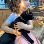 Maude Harcheb Instagram – Montréal – jour 3
– Mont royal
– la vue est belle
– je voulais une pédicure orange mais c’est rouge mamie
– noisette / poire citron / vanille fraise
– à manger à boire et des chats
Montréal je t’aime de plus en plus 🖤