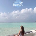 Maude Hirst Instagram - 🛑STOP SCROLLING AND BREATHE🛑 Why are we always in such a rush anyway? Let this video calm the breath and sooth the nervous stystem. A reminder to take time to get out in nature and soak up the little moments of stillness 🌳 #breathe #findyourcalm #stopscrolling #mentalhealth #lookafteryourself
