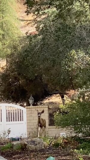 Maureen McCormick Instagram - Happy Friday Y’all! Hoping you have a beautiful weekend! Loving this time of year! #Nature #Wonder #Autumn