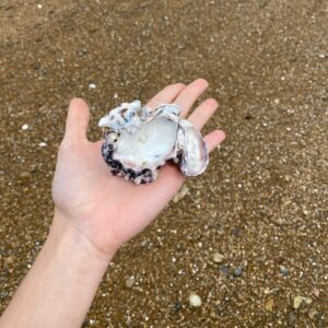 Mavournee Hazel Instagram - pretty places and things 🎀🤍🫧🦢