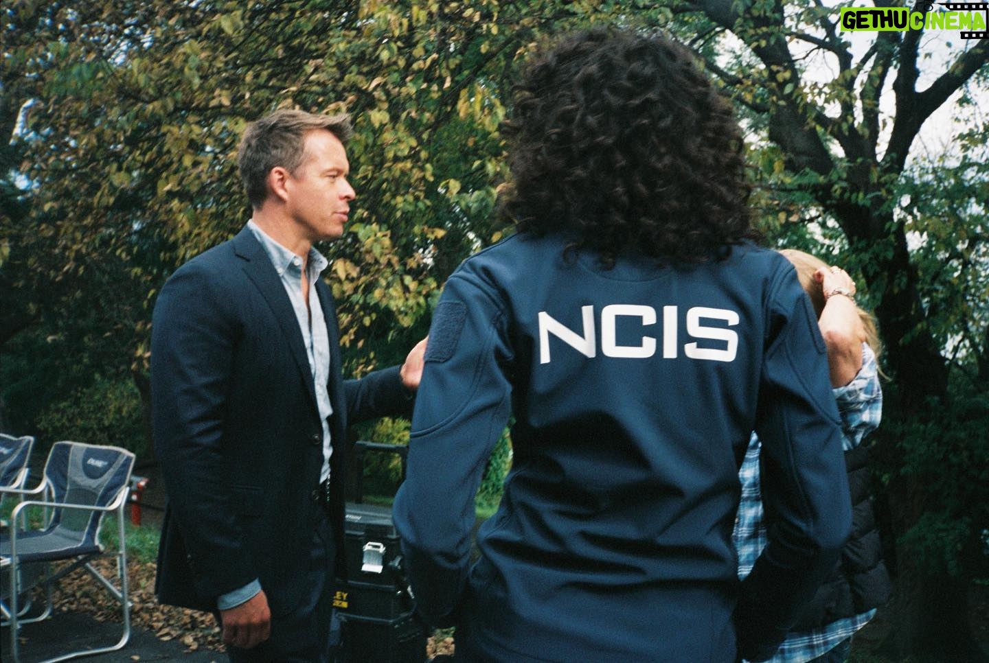 Mavournee Hazel - 3 Likes - POV you are the box of tissues you will be reaching for while watching the latest episode of NCIS: Sydney now streaming @paramountplusau 🐩 ☕️