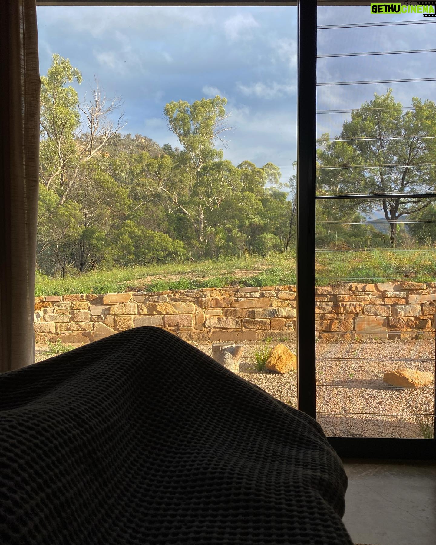 Mavournee Hazel - 3 Likes - jealous of those who live in Sydney because this lil’ slice of heaven is just a few hours away @wollemiretreat 🫧🗝️🤎🪵