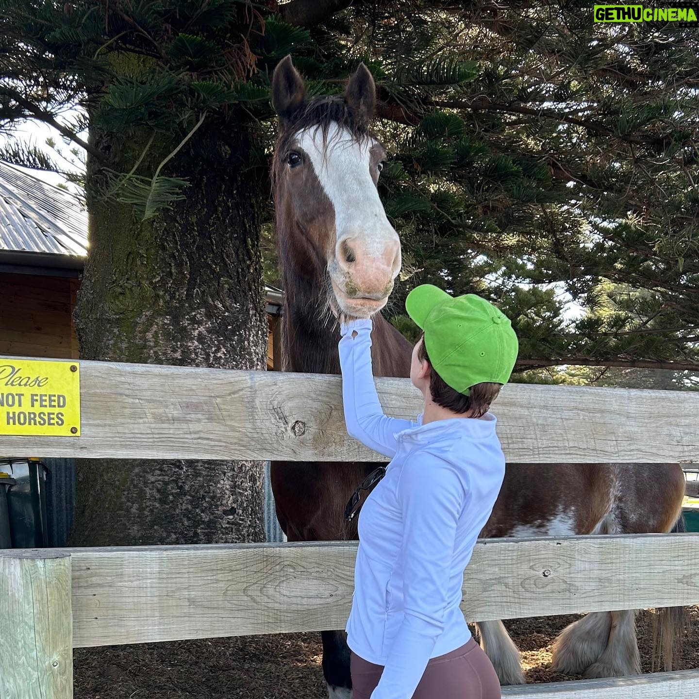 Mavournee Hazel - 3 Likes - fam time for a heart beat ❤️ finding out my brother uses smelling salts at the gym, and trying them in my last slide was a real highlight 🥹 wow making memories 🫶🏻