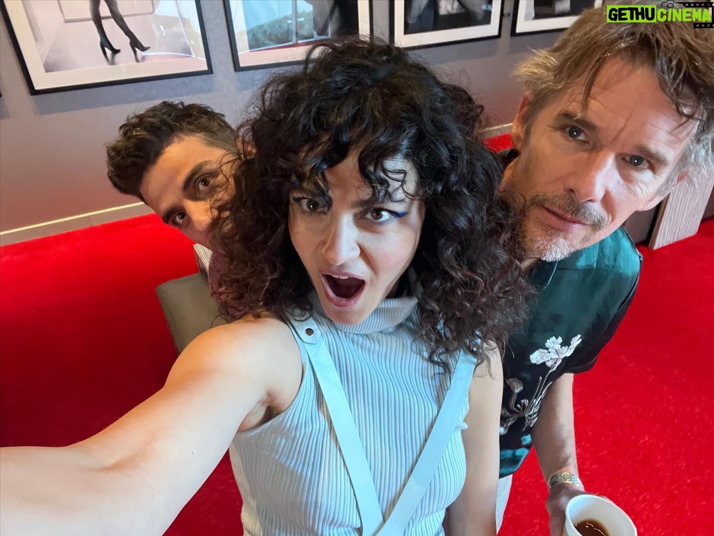 May Calamawy Instagram - Trying to socialize these guys. We’re getting there. #moonknight