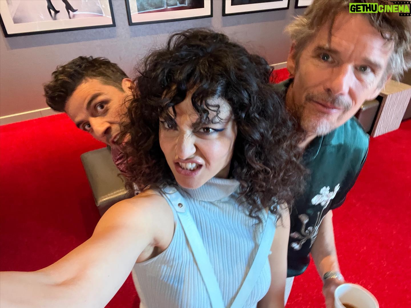 May Calamawy Instagram - Trying to socialize these guys. We’re getting there. #moonknight