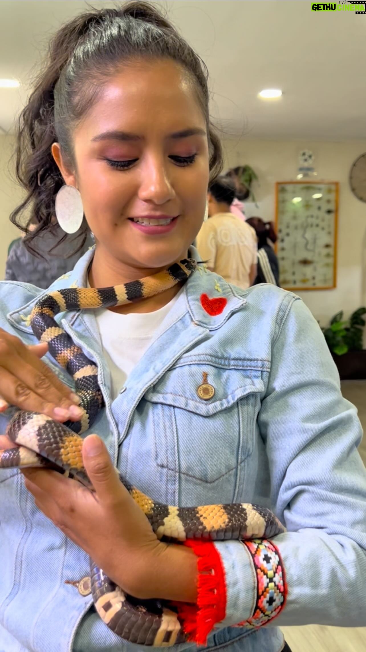 Mayella Lloclla Instagram - Hoy con mi familia y sobrinos conocimos e interactuamos en el increíble mundo de los animales exóticos 🐍🪳y de las mariposas 🦋muy fascinante todo , se los recomiendo para que vayan en familia , con amigos , los guías son súper dinámicos y divertidos 🤩 #artrotheca #morphotheca #MayellaLloclla #familia #Gaelvasquez #animalesexoticos #insectos #culebras #serpiente #mariposas #rataegipcia #mantis #tarantula #turismo #educación #biologia #atraccion #naturaleza #biologia #niños #parati #animalesfantásticos #animales #animalesdelmundo #animals