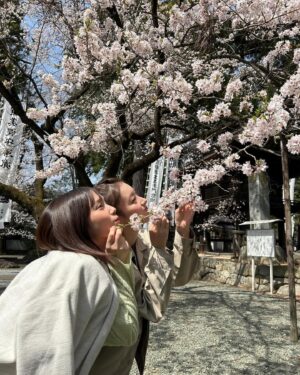 Mayu Miyamoto Instagram - .
本日は #6秒間の軌跡　第3話です🎆

まだ3月の桜満開の日に翼さんと桜と🌸♡