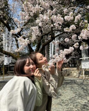 Mayu Miyamoto Instagram - .
本日は #6秒間の軌跡　第3話です🎆

まだ3月の桜満開の日に翼さんと桜と🌸♡
