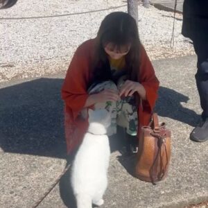 Mayu Miyamoto Instagram - 第2話　明日夜11時半から！🧡
マイコと🐈

#6秒間の軌跡