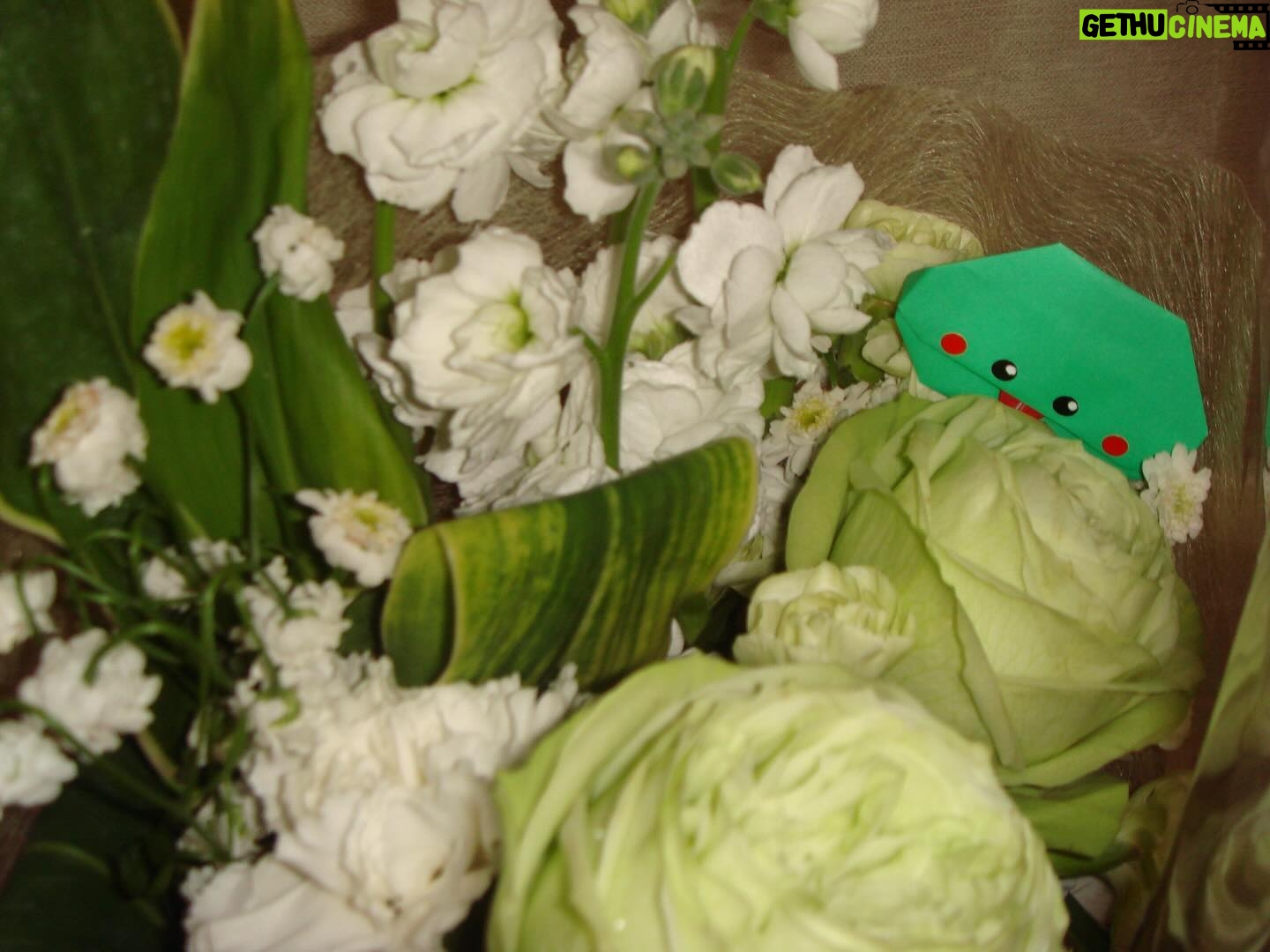 Mayu Miyamoto - 3 Likes - .
新空港占拠 明日夜10時!
ついに最終回です。
私も無事、先日クランクアップしました!💐
それぞれの想いがたくさん詰まった
最高の最終回になっていると思います。
ぜひ、リアルタイムでみてね🐍
#新空港占拠
