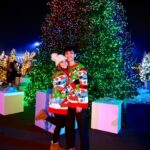 McKenzi Brooke Instagram – Still living my winter fantasy ❄️❤️ @winterfestoc #winter #december #holiday #fair