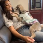 Meagan Tandy Instagram - Happy Birthday to my cute little angel furry princess 👑 . You have been with me through all of the moments: the good, the bad, the pretty and the ugly. Thank you for being the best audience member for all of my self tapes and for being the best listener for all of my rants and hysterical cries. I’m so glad we get to share in this time together. You’re one of the best things to ever happen to me. Happy Birthday my angel 🎉