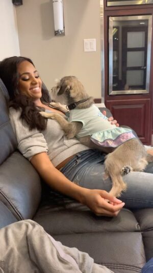 Meagan Tandy Instagram - Happy Birthday to my cute little angel furry princess 👑 . You have been with me through all of the moments: the good, the bad, the pretty and the ugly. Thank you for being the best audience member for all of my self tapes and for being the best listener for all of my rants and hysterical cries. I’m so glad we get to share in this time together.  You’re one of the best things to ever happen to me. Happy Birthday my angel 🎉