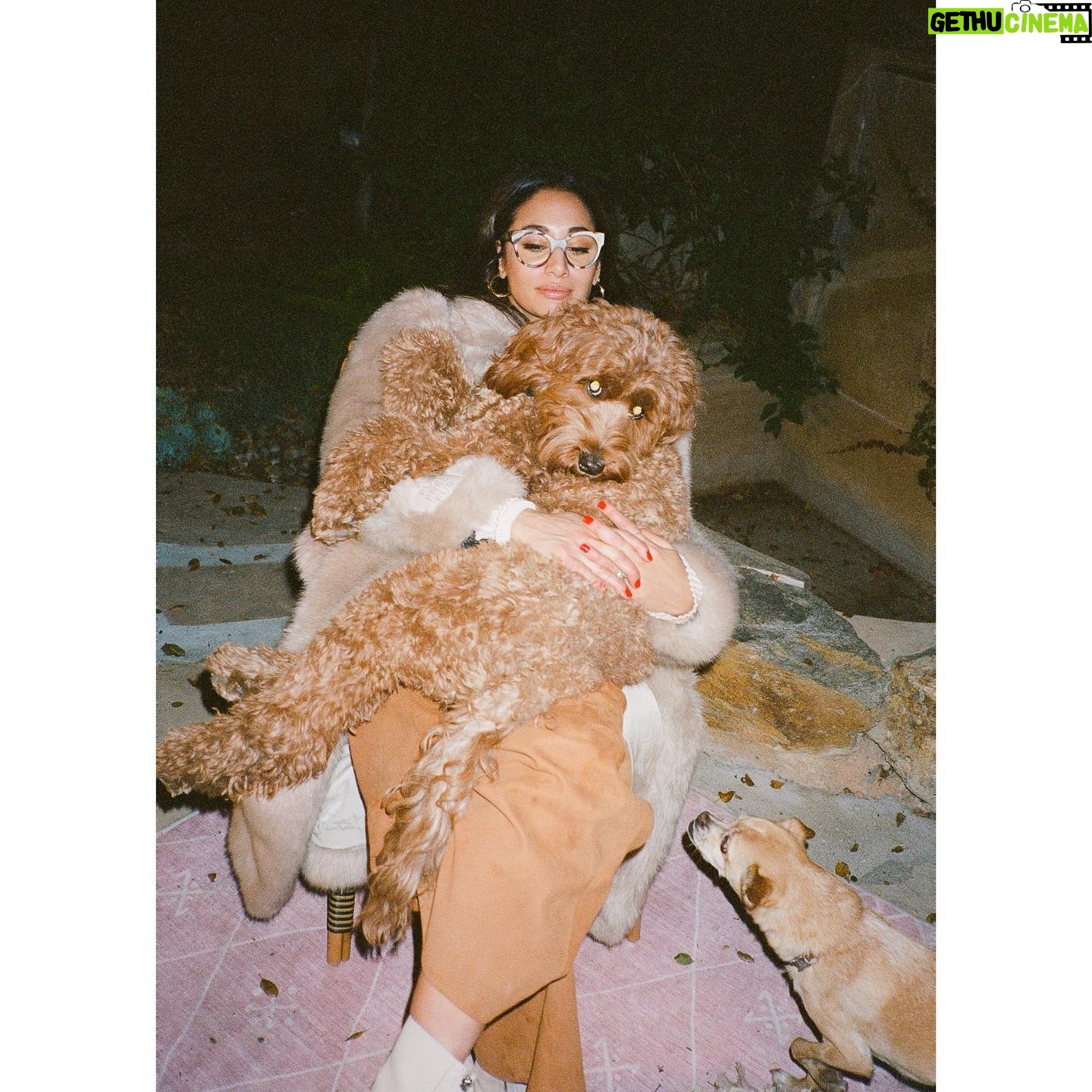 Meaghan Rath - 14.5K Likes - Cleansing your timeline
📸 by @amandacrew