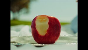 Medalion Rahimi Instagram - stills from a visual poem I’ll be sharing very soon 🍎 in the ‘Wendy’ dress by @hushi5