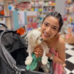 Medha Shankar Instagram – Do what makes you happy. Even if it means choosing dogs over humans for company (almost always)💕
Feat. Laila Shankar and @ielliethemaltese