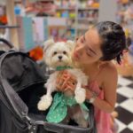 Medha Shankar Instagram – Do what makes you happy. Even if it means choosing dogs over humans for company (almost always)💕
Feat. Laila Shankar and @ielliethemaltese