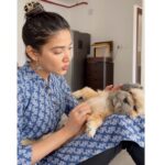 Medha Shankar Instagram – Do what makes you happy. Even if it means choosing dogs over humans for company (almost always)💕
Feat. Laila Shankar and @ielliethemaltese