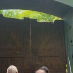 Meera Anil Instagram – The moment when I literally cried..🥰🥰
The only request that my Achan ever denied in my life was that NO JURASSIC PARK IN THEATRE. 

He Thot I might get a terror impact,as the movie was an universal sensation back in 1993. I was 4, and I cried over the request and have done all the insane things that a child can think about with.  When my friends wer discussing about the impeccable theatrical experience of JURASSIC PARK,I sat there, keeping a slight grudge n my heart against Appa.

And here I AM,after long 30 years,at my 34th year am seeing THE REAL JURASSIC PARK. I literally cried when I came out. Coz I was that 4 year child again..! (Am not adding any music to this,as I wanna remember the clips as real as it was)

#@And appa,I missed u❤️