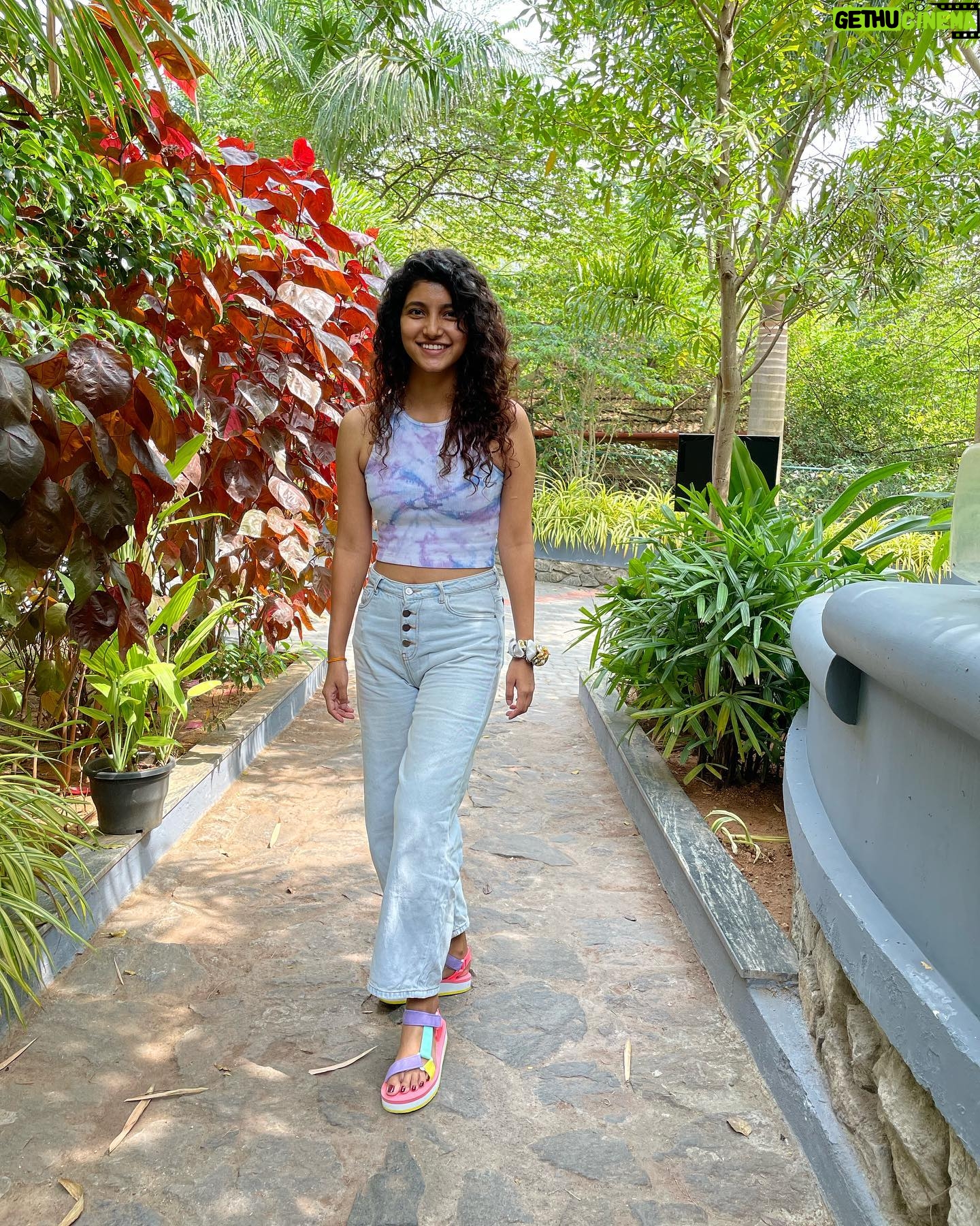 Meetha Raghunath - 83.7K Likes - I see colour…colour…colour 🐳