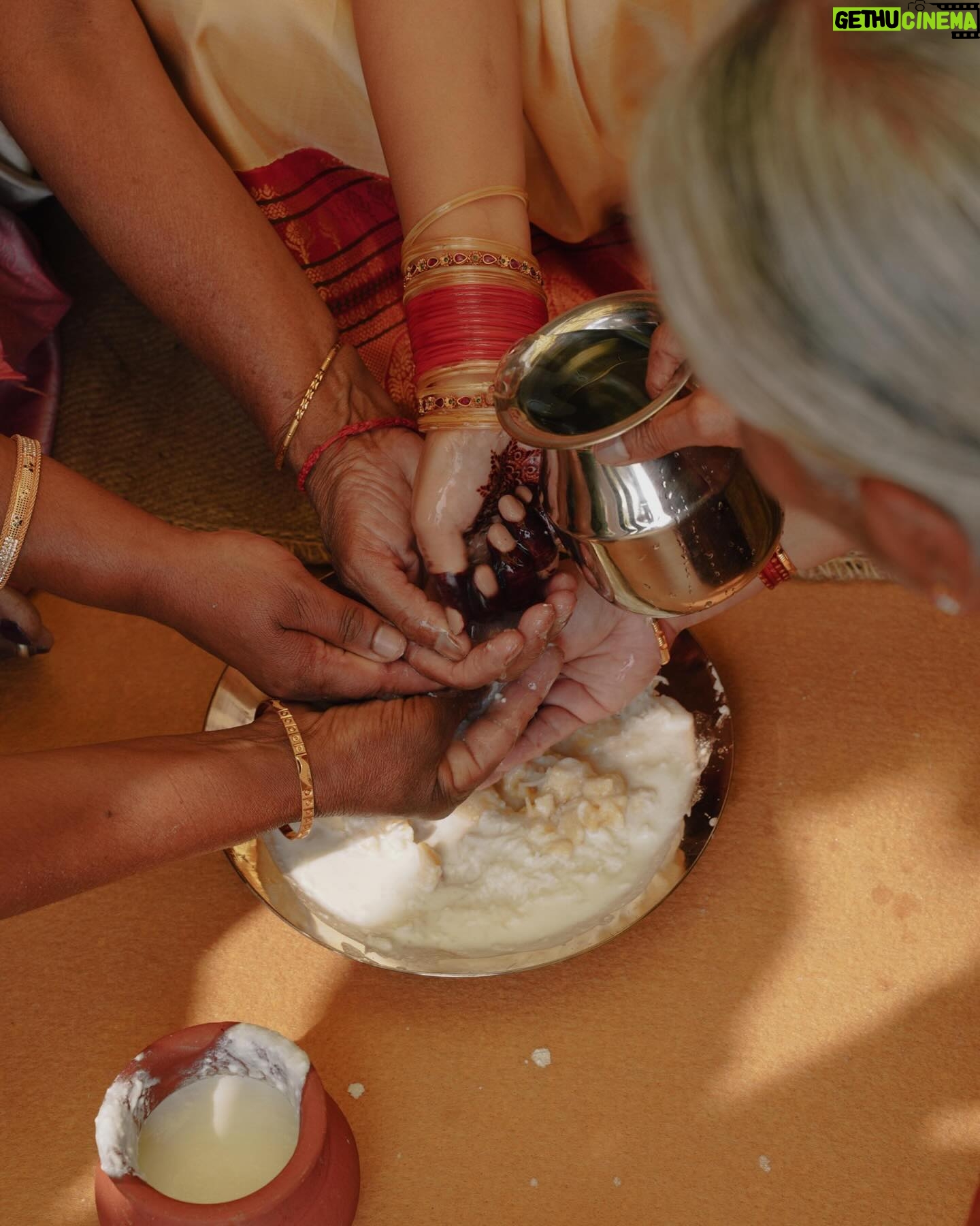 Meetha Raghunath - 194.3K Likes - Having a traditional Badaga wedding is something I did not anticipate. Falling in love wasn’t something I anticipated either, but I did. So the Badaga wedding that followed was just a beautiful celebration of that. A “Madhil” is an arc like structure which is a sacred space in every traditional Badaga household. Though we didn’t get married in a hatti (a Badaga village) we wanted to do something that felt quite close to our culture for the wedding. Being the artistic geniuses of the house, my mom came up with the idea of the Madhil and the decor surrounding it and my sister designed the whole thing. They worked out everything from the colour palettes to just how it should look. So much of the wedding was an art project of sorts for all of us, but more about that later. Finding love is divine timing, but the ability to recognise love when it presents itself before you, and having the courage to embrace it is one of the qualities I’m most grateful to the universe for blessing me with. Long story short, I fell in love and got to have a beautiful wedding, it being a traditional Badaga wedding was just a fun added bonus.
Thank you @dhanusiyaviswanathan from @dreamday_designers for helping us execute our idea in the most efficient and passionately dedicated way as possible.
@vasanthphotography @weddingsbyvasanth
🌻