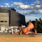 Meg DeLacy