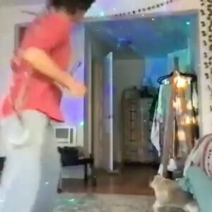 Meg Myers Instagram - As you can see here, one of the main highlights of my life on earth is my Patreon Lovestream Dance Parties😂. I appreciate all the social platforms but I really do freakin love Patreon and connecting on there, it’s just a totally different world and feels so much more accepting and caring. Maybe see you over there and no worries if not. I’ll keep posting on here and Patreon clips from time to time🪩

Also seeing some of your comments trying to offend me calling me an old lady and saying mom moves and stuff like that.. but just so you guys know, I’m not trying to be COOL. I gave that up a while ago for more freedom and overall peace and well being. These dance parties are for PURE FUN🌈

I’m almost 38 years old, I stopped getting Botox and lip injections many years ago (not that there’s anything wrong with it AT ALL but I was doing it from an insecure place) so naturally I am aging and will continue to as we all will no matter how hard we try and fight it, and I’m also not a professional dancer. I just genuinely love to move my body, it feels good and it helps me connect with my sensuality, with my heart and soul, with my feelings! I love goofing off and experiencing real connection with others and it re-awakens my inner child. 

I highly suggest trying it out even if you don’t join my community and even if you look kinda stupid doing it like me, just try it for yourself because it’s incredibly powerful medicine💗🙂

<<<link in my biyo>>>