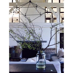 Meg Ryan Instagram - Evolution...