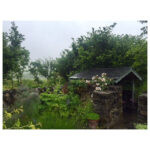 Meg Ryan Instagram - Visited this organic perfumery in the Burren, West Ireland recently. Herbs, fairies, cakes, watercolours, scents and lovely Sadie all blooming on site!