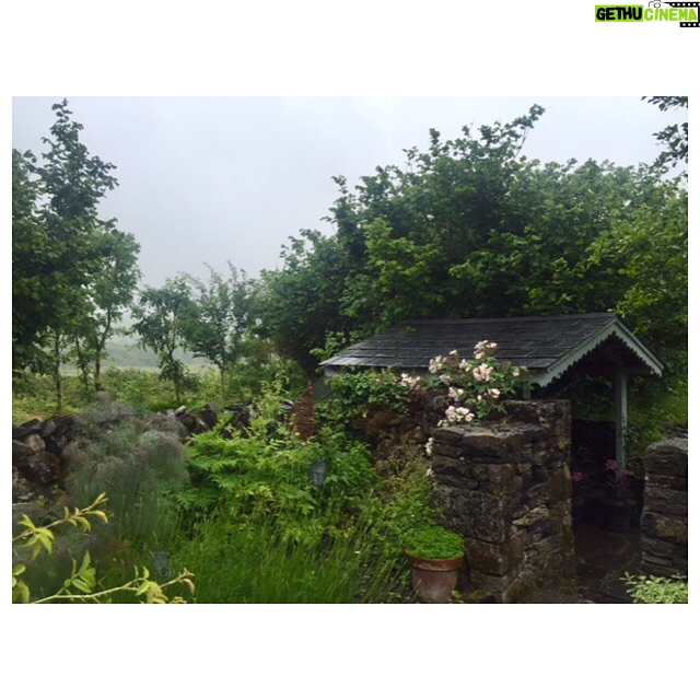 Meg Ryan Instagram - Visited this organic perfumery in the Burren, West Ireland recently. Herbs, fairies, cakes, watercolours, scents and lovely Sadie all blooming on site!