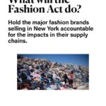Megan Boone Instagram - This #nyfw @msmeganboone joined a coalition to pass #thefashionact🪞It’s a beautiful instrument for the kind of change we all want to see & we are building momentum and public support. PLEASE JOIN US! Go to TheFashionAct.org to learn more. #actonfashion #thefashionact Also endorsed by @leonardodicaprio @janefonda @rosariodawson @ambervalletta @ciara @dangerusswilson @camerondiaz @meadowwalker @shailenewoodley @nikkireed #andiemacdowell @arizona_muse @zooeydeschanel