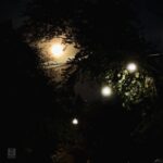 Megan Follows Instagram - Moon and street lights. #moonlight #streets #lights