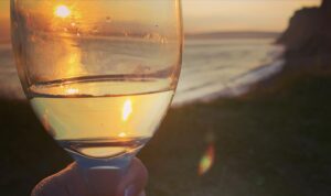 Megan Follows Instagram - … what has my attention? #wine #sunset