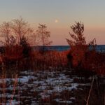 Megan Follows Instagram - Sun down, moon up. #toronto #goforawalk #tommythompsonpark
