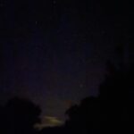 Megan Follows Instagram - Night sky and black berries. Keeping it simple. #breathe #wildberries #stars