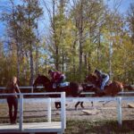 Megan Follows Instagram - When Lily is back it’s never simple... Sunday Night on CBC at 7pm EST @official_heartlandoncbc