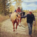 Megan Follows Instagram - When Lily is back it’s never simple... Sunday Night on CBC at 7pm EST @official_heartlandoncbc