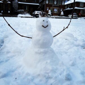 Megan Follows Instagram - Deep in conversation #snowman #upsideofsnow