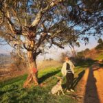 Megan Follows Instagram - Out for walk in #griffithpark I love this park and it’s many hikes and trails. No, the dog is not mine. I’m walking my nieces energetic puppy. #adoptapet #rescuedog #heart