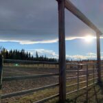 Megan Follows Instagram - My work done for now. Always a pleasure working in Alberta and on @official_heartlandoncbc thanks to all especially during these Covid challenging pandemic times a nod of gratitude to a wonderful hardworking crew who help bring this show to life. Stay safe and be well and let’s all take care of each other. #filmalberta #heartland #agirlandherhorse #guitar @official_heartlandoncbc @the_real_shaunj @amber_marshall_farm #grandpajack #sky #clouds
