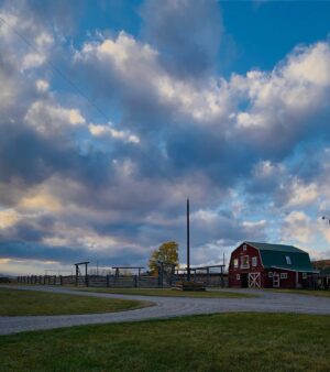 Megan Follows Instagram - My work done for now. Always a pleasure working in Alberta and on @official_heartlandoncbc  thanks to all especially during these Covid challenging pandemic times a nod of gratitude to a wonderful hardworking crew who help bring this show to life. Stay safe and be well and let’s all take care of each other. #filmalberta #heartland #agirlandherhorse #guitar @official_heartlandoncbc @the_real_shaunj @amber_marshall_farm #grandpajack  #sky #clouds