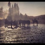 Megan Follows Instagram - End of a great first week, back on the ranch in Heartland @official_heartlandoncbc. Tremendous gratitude to be able to work with such a wonderful team lead by the gracious and multitalented Amber Marshall @amber_marshall_farm and Chris Potter directing. #filmalberta #alberta #horsesofinstagram