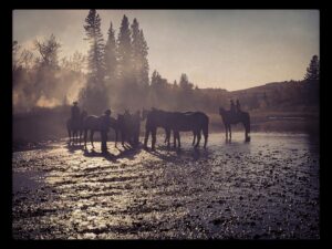 Megan Follows Instagram - End of a great first week, back on the ranch  in Heartland @official_heartlandoncbc. Tremendous gratitude to be able to work with such a wonderful team lead by the gracious and multitalented Amber Marshall @amber_marshall_farm and Chris Potter directing. #filmalberta #alberta #horsesofinstagram