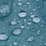 Megan Follows Instagram - Hiked in the rain. #raindrops #wetleaves #spiderweb #spiderwebsandraindrops