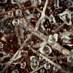 Megan Follows Instagram - Hiked in the rain. #raindrops #wetleaves #spiderweb #spiderwebsandraindrops