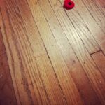 Megan Follows Instagram - I was away from home on Rememberance day. Quarantining in isolation I did not get to pin my red flower on to my jacket. Today Looking down I saw that Someone’s poppy had fallen, and It looked so vulnerable disgaurded there on the floor. And I remembered what I’d found just a few weeks earlier when I was going through a drawer in my mothers house full of old photographs and papers. I found A letter. A letter that must have broken a family’s heart. My Grandfather was too young to go to war in 1914 but his only older brother was not. And never came home. My grandmother lost three of her brothers. The last image is of her older brother Ross. I wonder who these young men and so many thousands of others would have grown up to be. And I think of their mothers and the agony they felt receiving that letter from their King. So I pay my respects to all who have sacrificed so much. #peace #remembranceday #thewartoendallwars #love