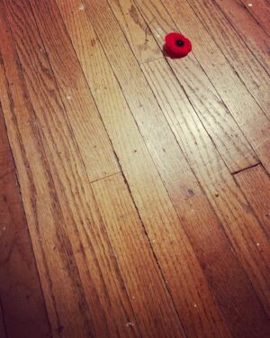 Megan Follows Instagram - I was away from home on Rememberance day. Quarantining in isolation I did not get to pin my red flower on to my jacket. Today Looking down I saw that Someone’s poppy had fallen, and It looked so vulnerable disgaurded there on the floor. And I remembered what I’d found just a few weeks earlier when I was going through a drawer in my mothers house full of old photographs and papers. I found A letter. A letter that must have broken a family’s heart. My Grandfather was too young to go to war in 1914 but his only older brother was not. And never came home. My grandmother lost three of her brothers. The last image is of her older brother Ross. I wonder who these young men and so many thousands of others would have grown up to be. And I think of their mothers and the agony they felt receiving that letter from their King. So I pay my respects to all who have sacrificed so much. #peace #remembranceday #thewartoendallwars #love